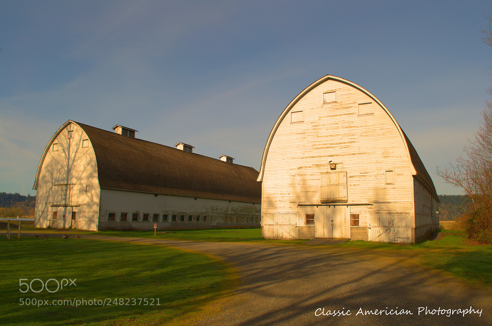 Nikon D3100 sample photo. Barn photography