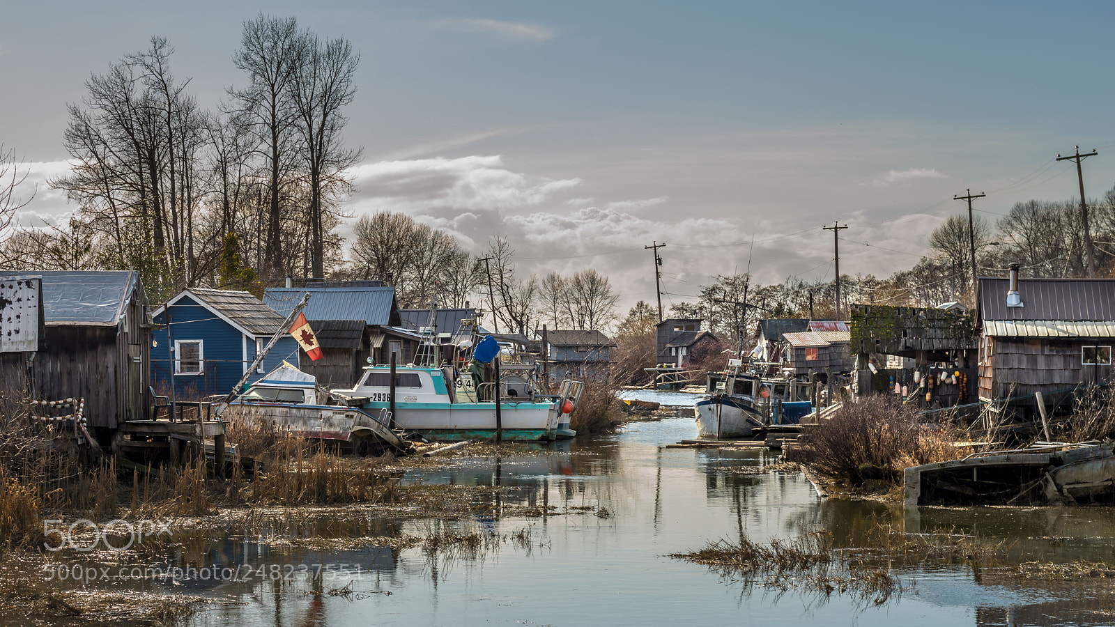 Nikon D800 sample photo. Finn slough photography