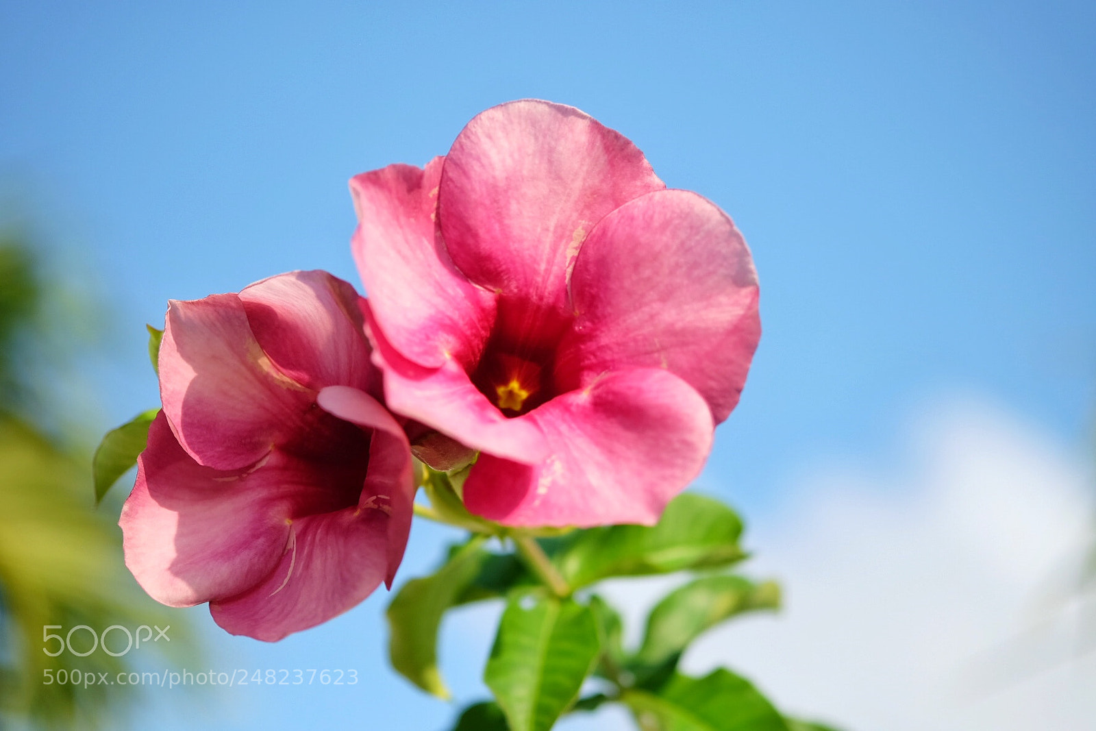 Fujifilm X-T10 sample photo. Tableau photography