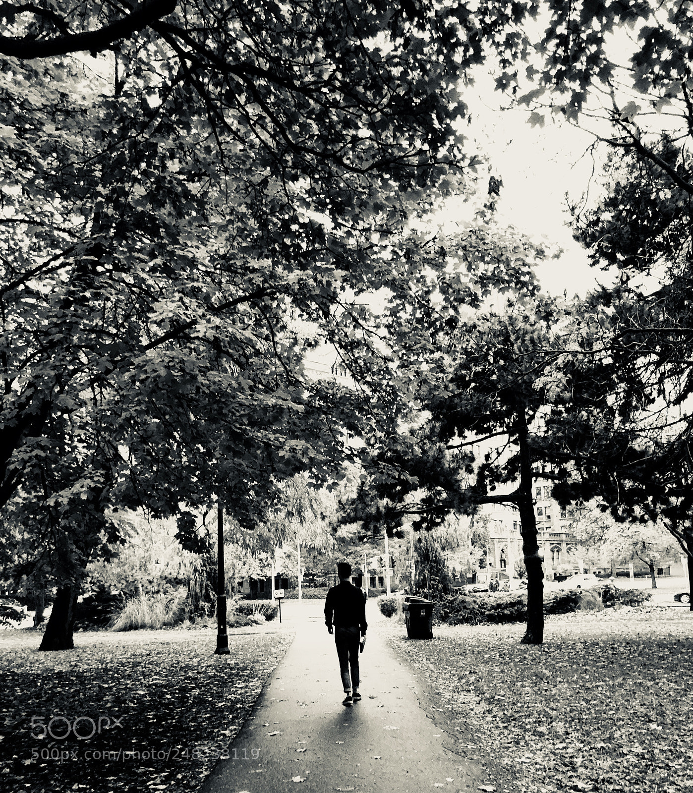 Apple iPhone 8 sample photo. Sunday strolls photography