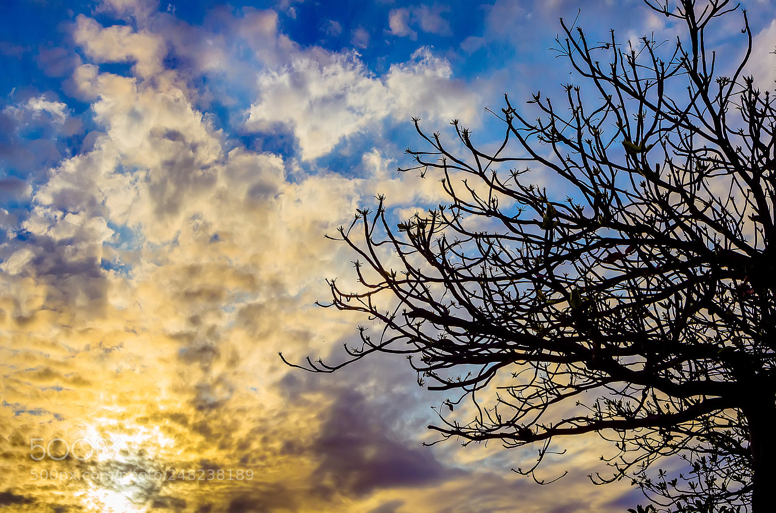 Nikon D5100 sample photo. Untitled photography