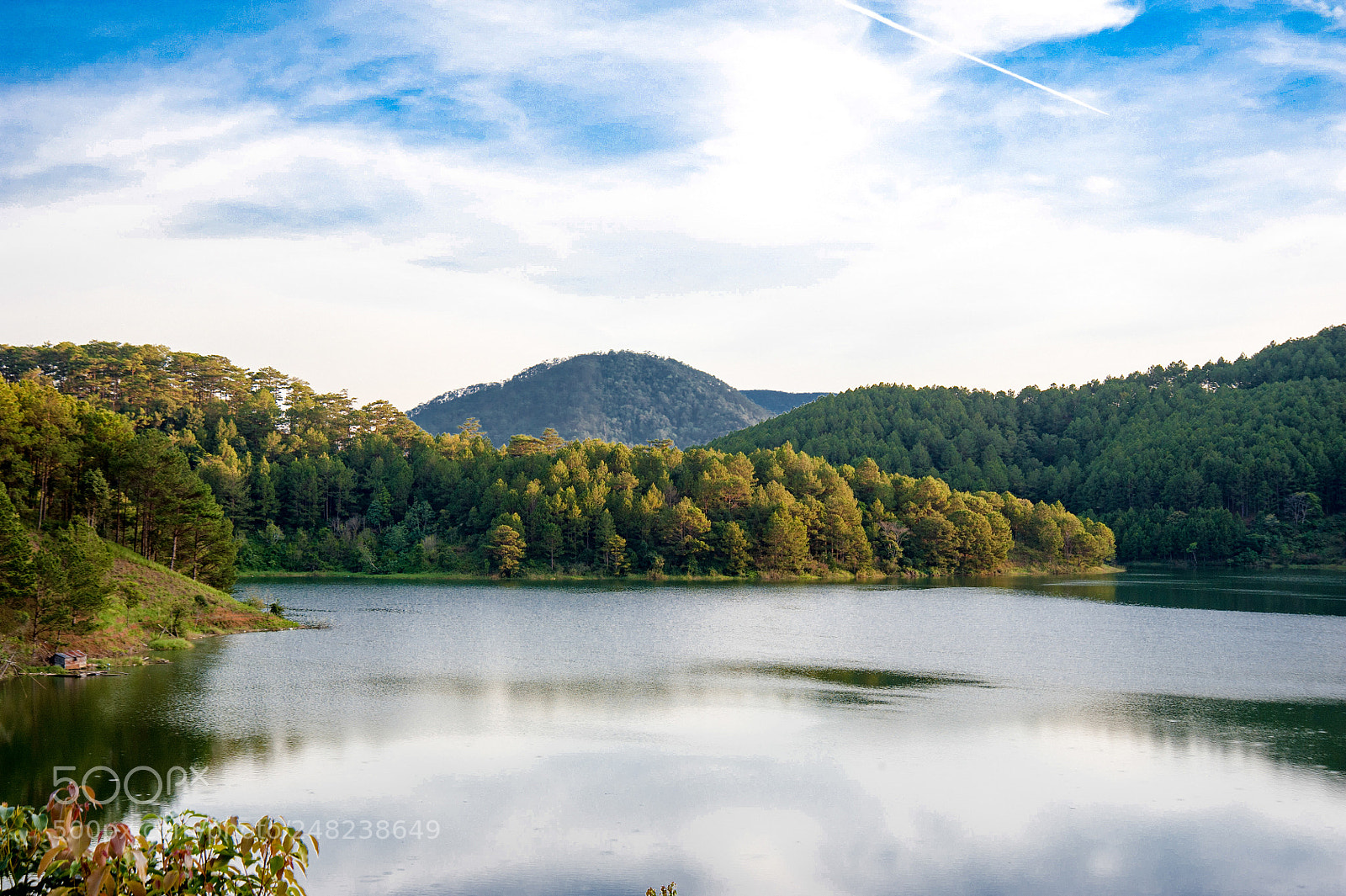 Nikon D700 sample photo. L t - vi photography