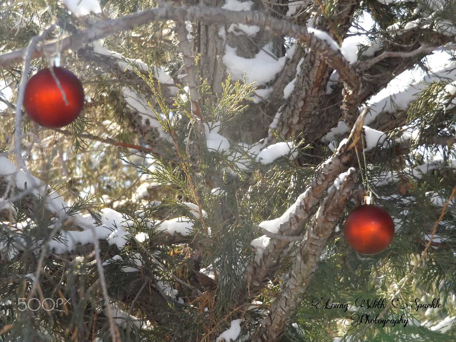 Fujifilm FinePix S8600 sample photo. Rustic christmas photography