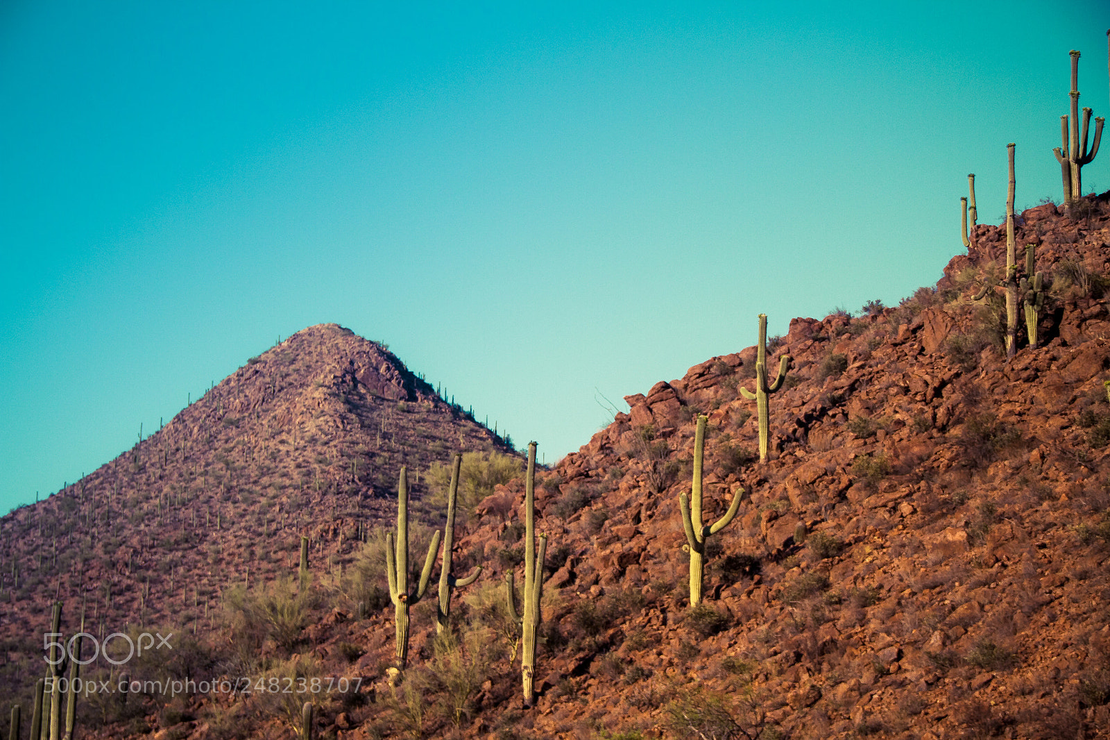 Canon EOS 7D sample photo. Arizona sunset against two photography