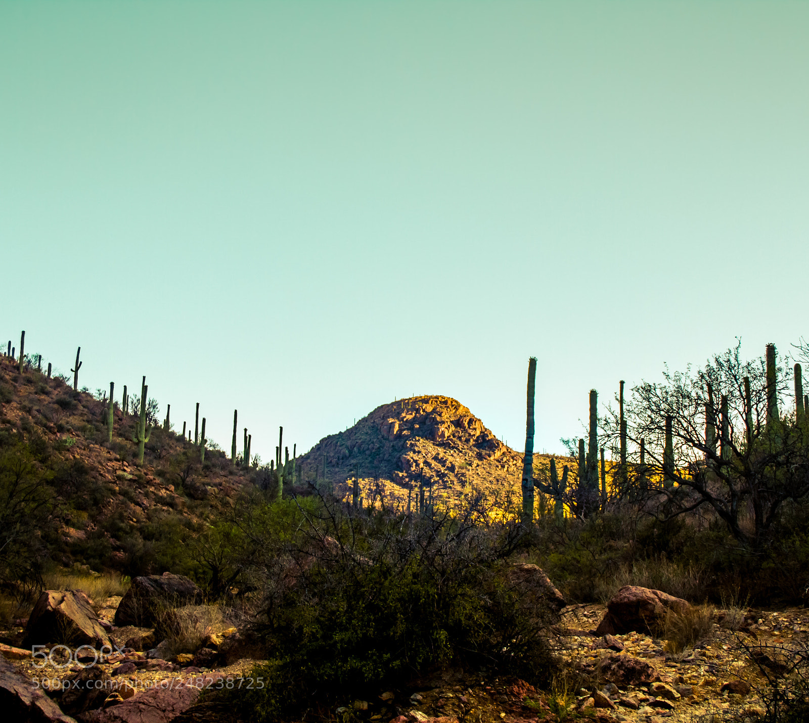 Canon EOS 7D sample photo. Lone mountain in arizona photography