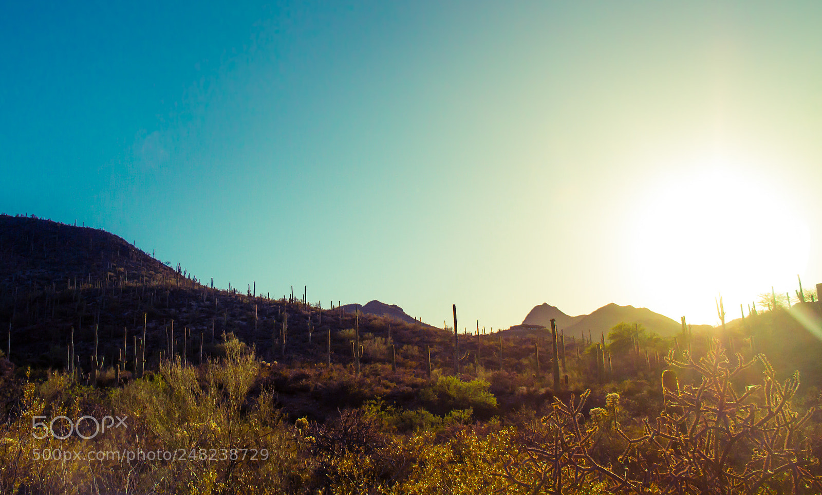 Canon EOS 7D sample photo. Arizona sunset over the photography