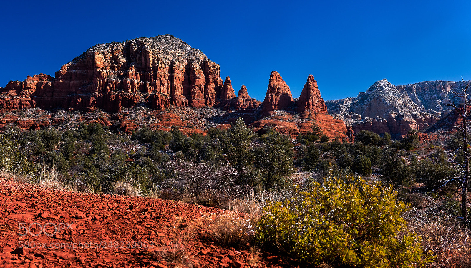 Nikon D810 sample photo. Two nuns photography