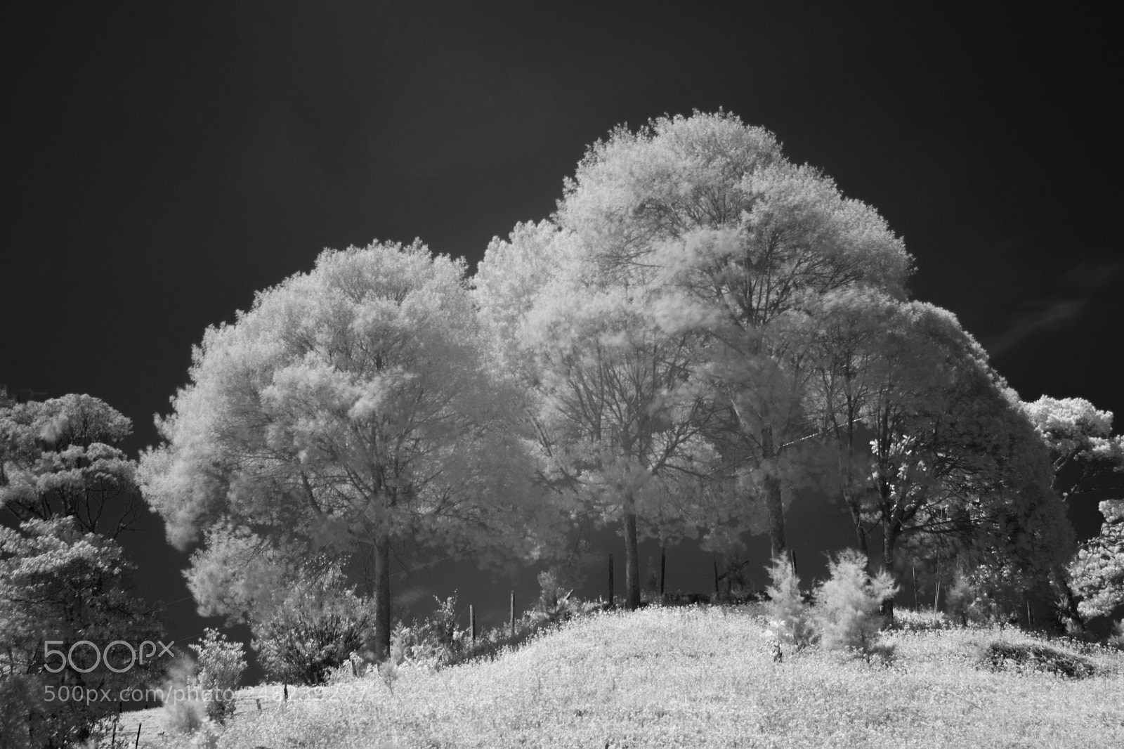Nikon D5300 sample photo. Countryside photography