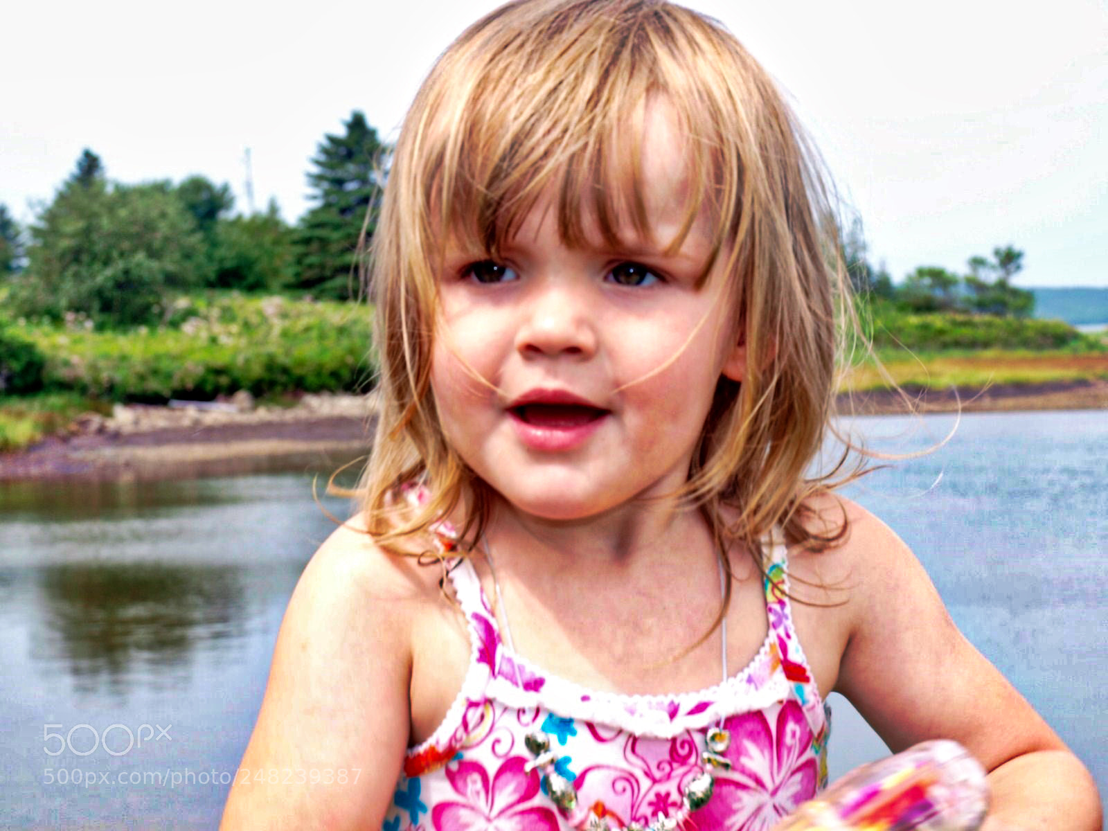 Olympus E-520 (EVOLT E-520) sample photo. This is gabarus cape photography