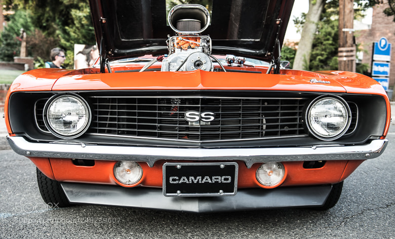 Nikon D800 sample photo. Camero ss photography