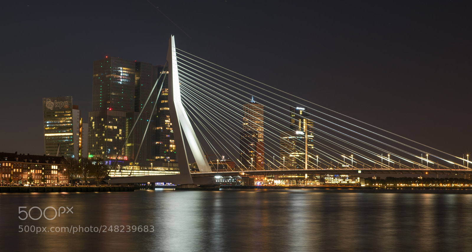 Nikon D810 sample photo. Erasmusbrug photography