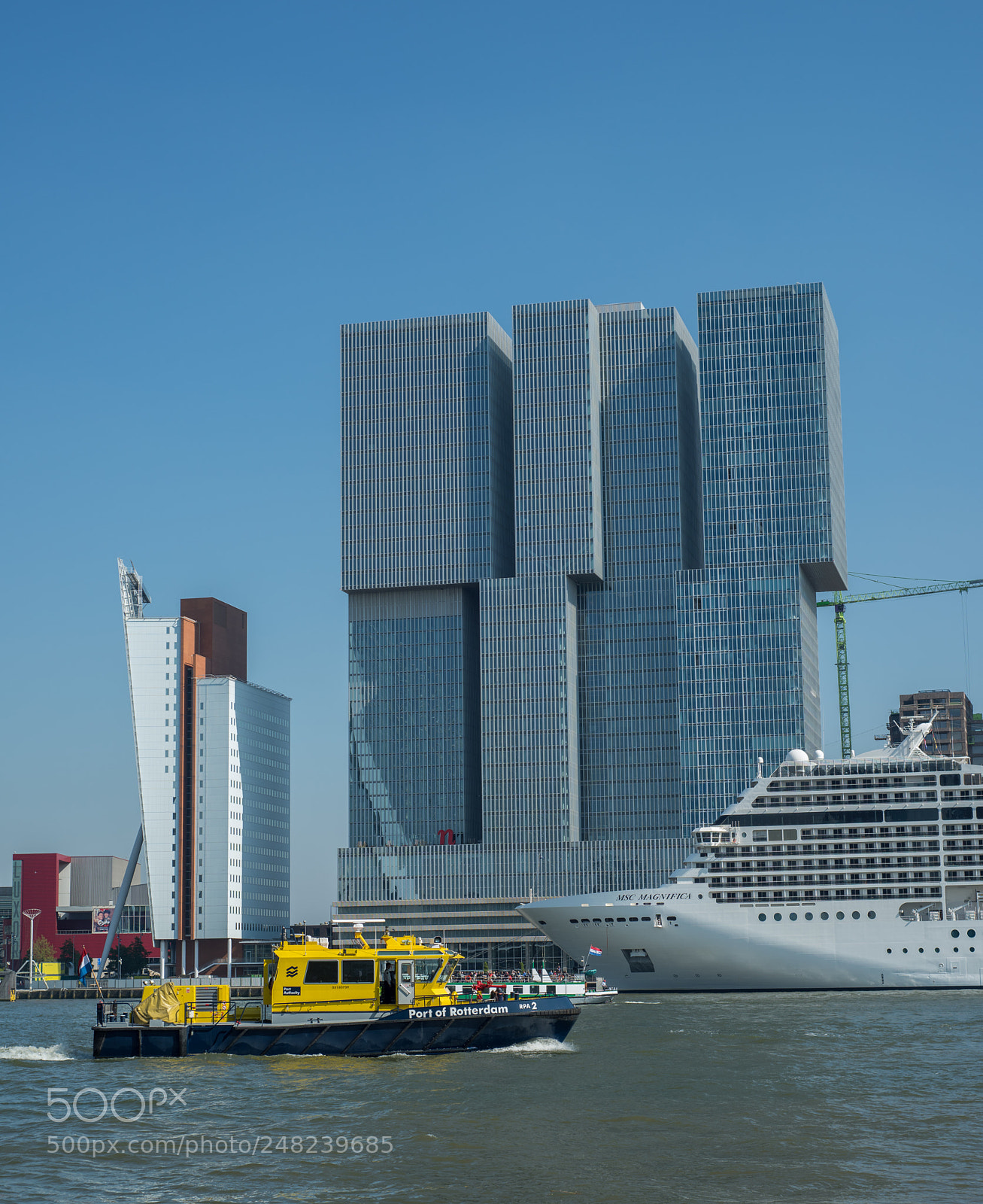 Nikon D810 sample photo. Erasmusbrug photography