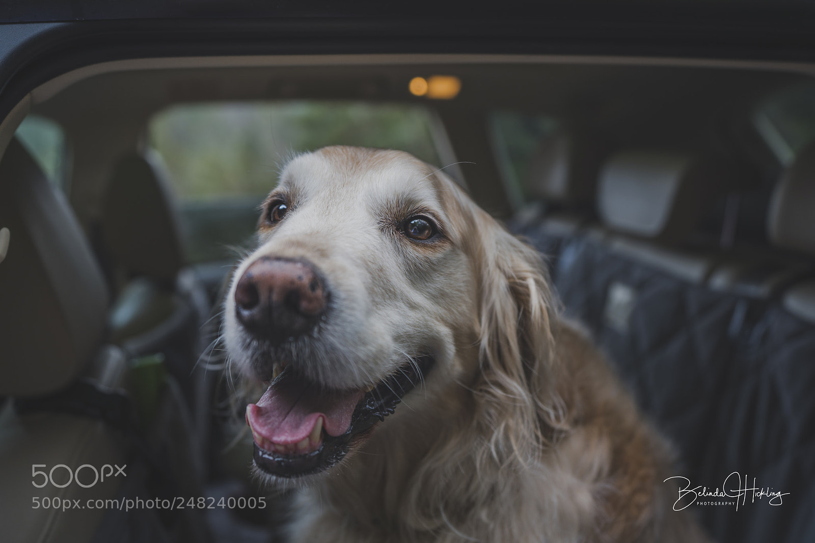 Sony a7R III sample photo. I don't care where photography