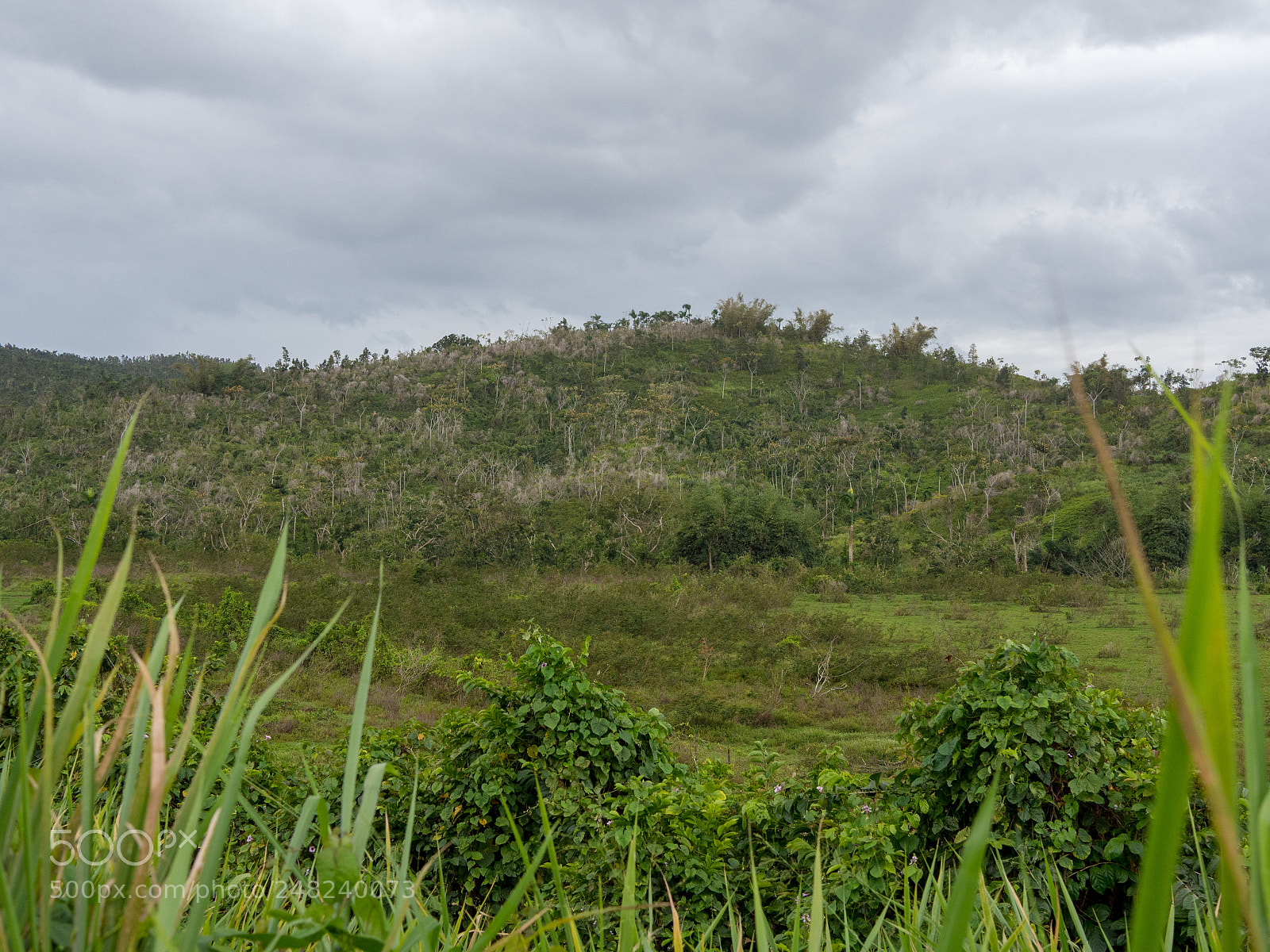 Olympus OM-D E-M10 II sample photo. Backroads pr 03 photography