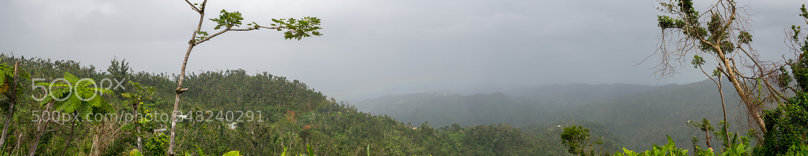 Olympus OM-D E-M10 II sample photo. El yunque panorama photography