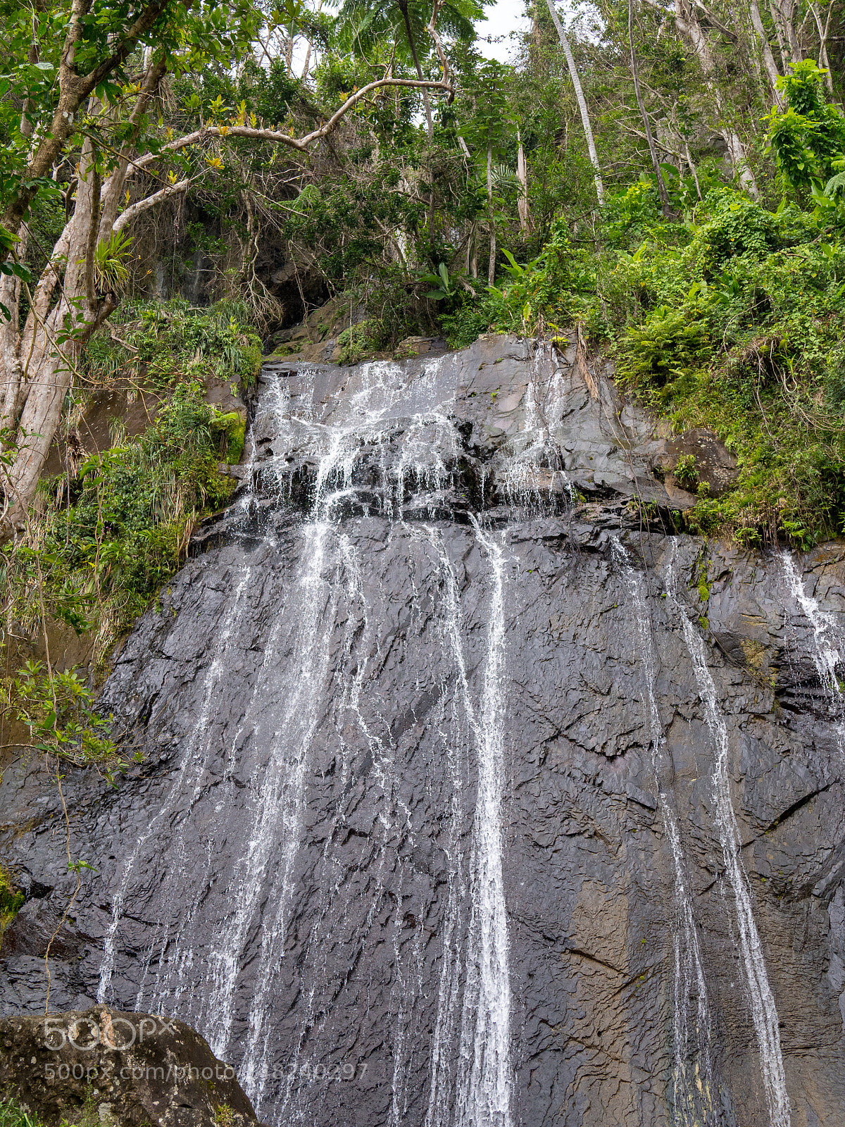 Olympus OM-D E-M10 II sample photo. La coca waterfall photography