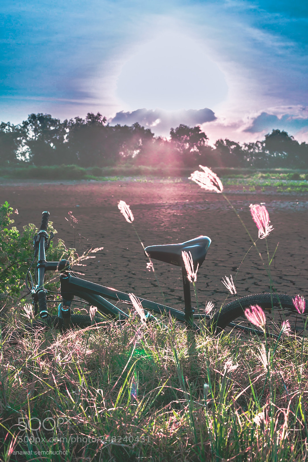 Nikon D800 sample photo. Untitled photography