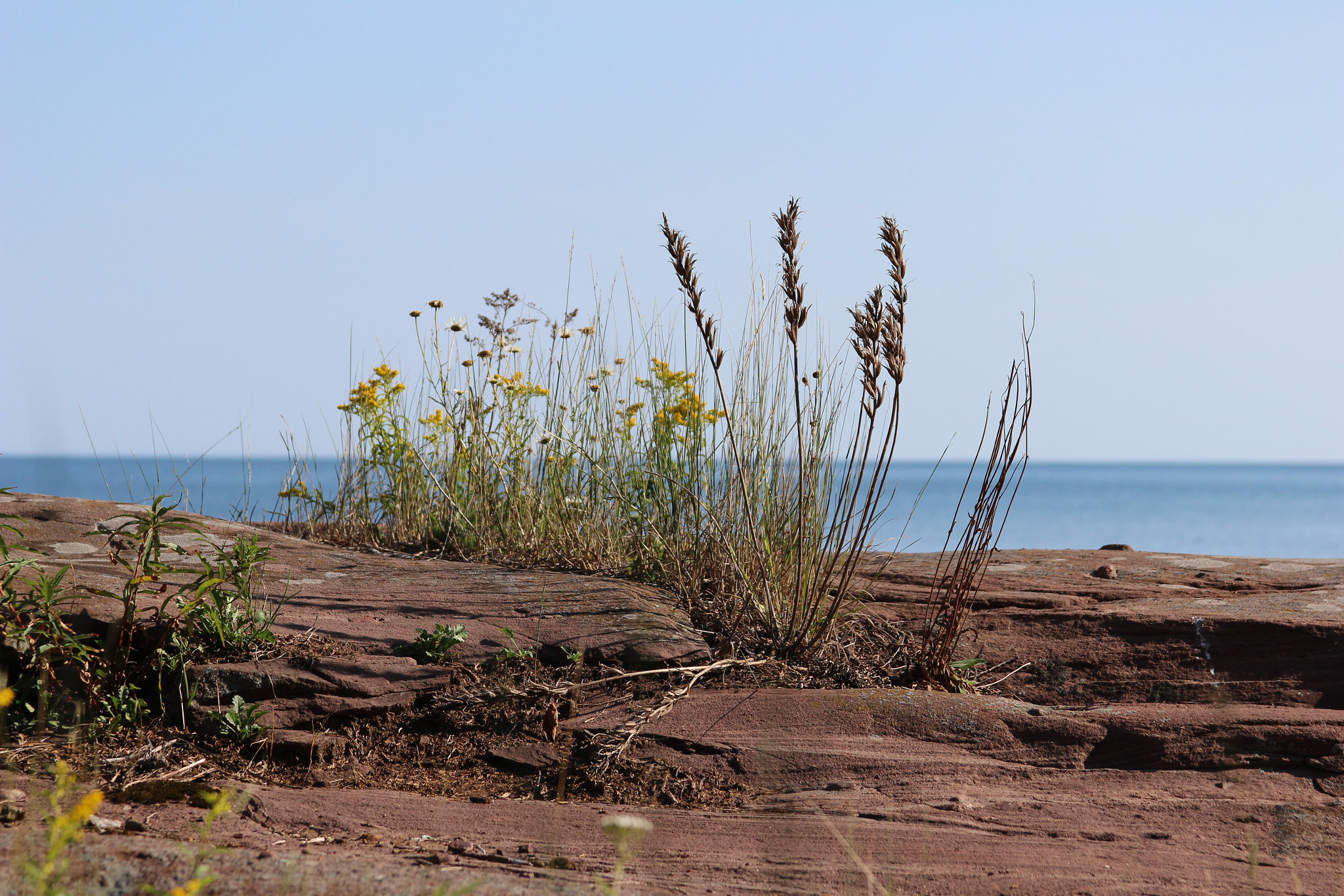 Canon EF 28-135mm F3.5-5.6 IS USM sample photo. 389.jpg photography