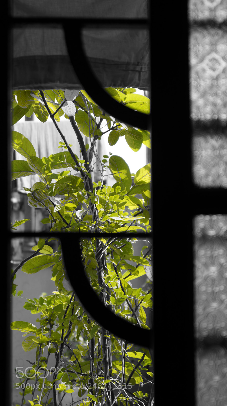 Sony SLT-A58 sample photo. Untitled photography