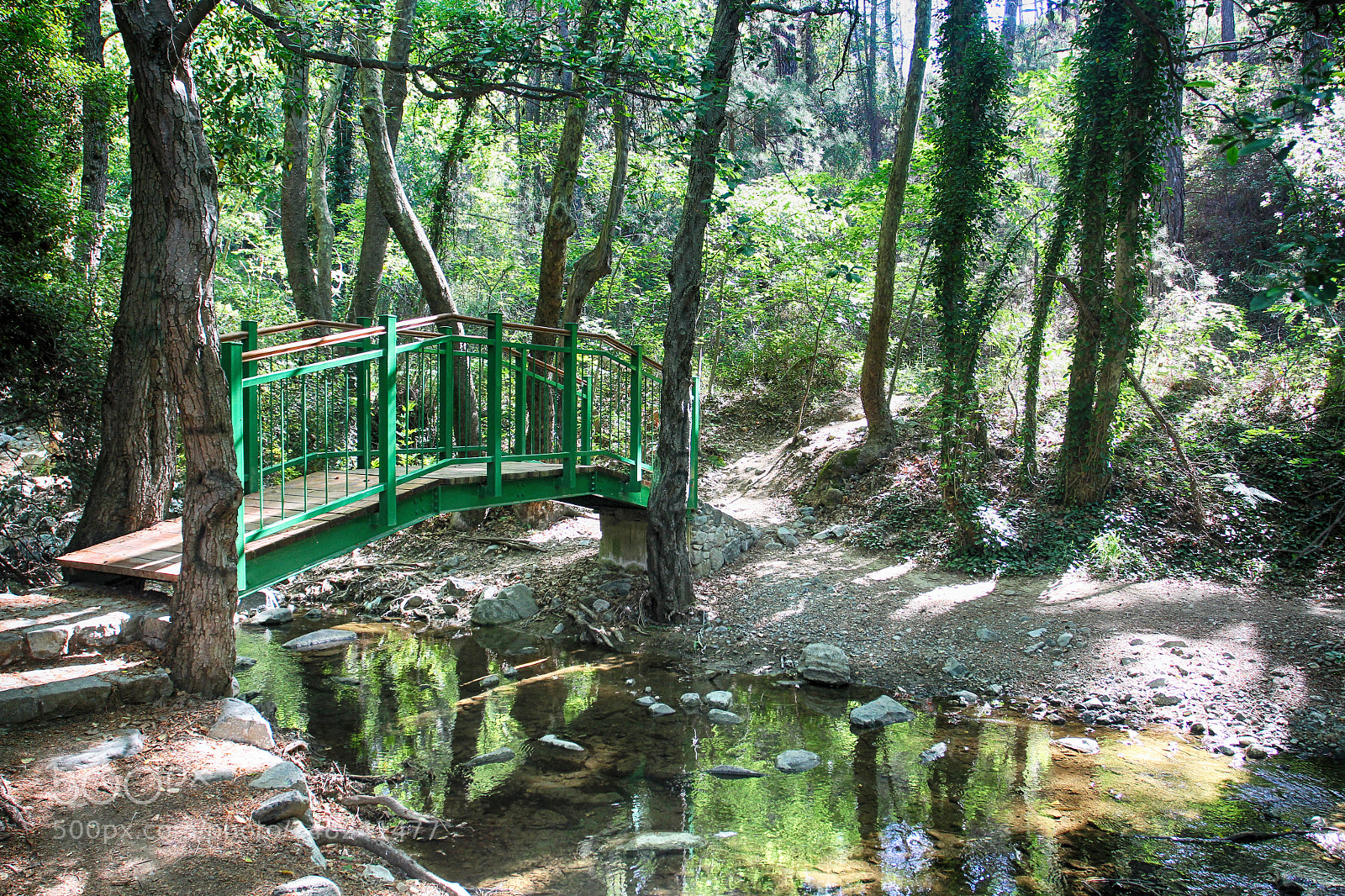 Canon EOS 60D sample photo. Bridge over the stream photography