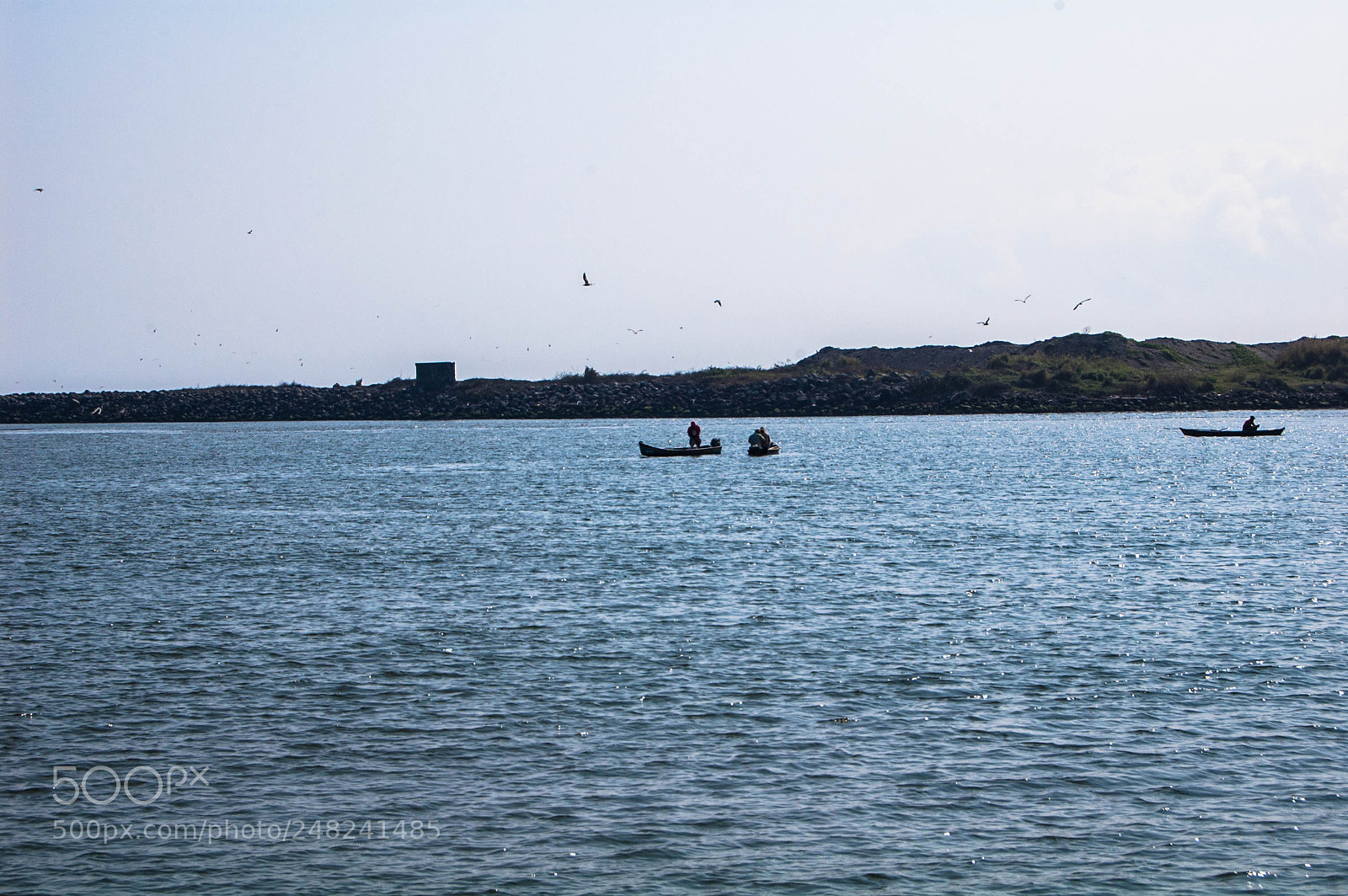 Nikon D40 sample photo. Mar, veracruz, 2012 photography