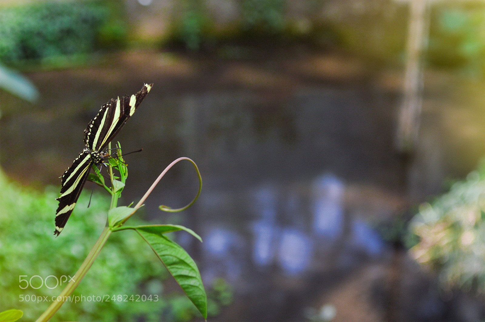 Nikon D3200 sample photo. Untitled photography