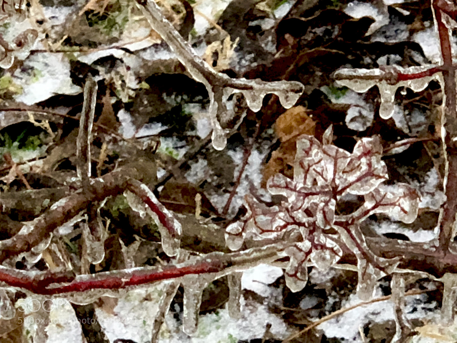 Apple iPhone X sample photo. Ice in early spring photography