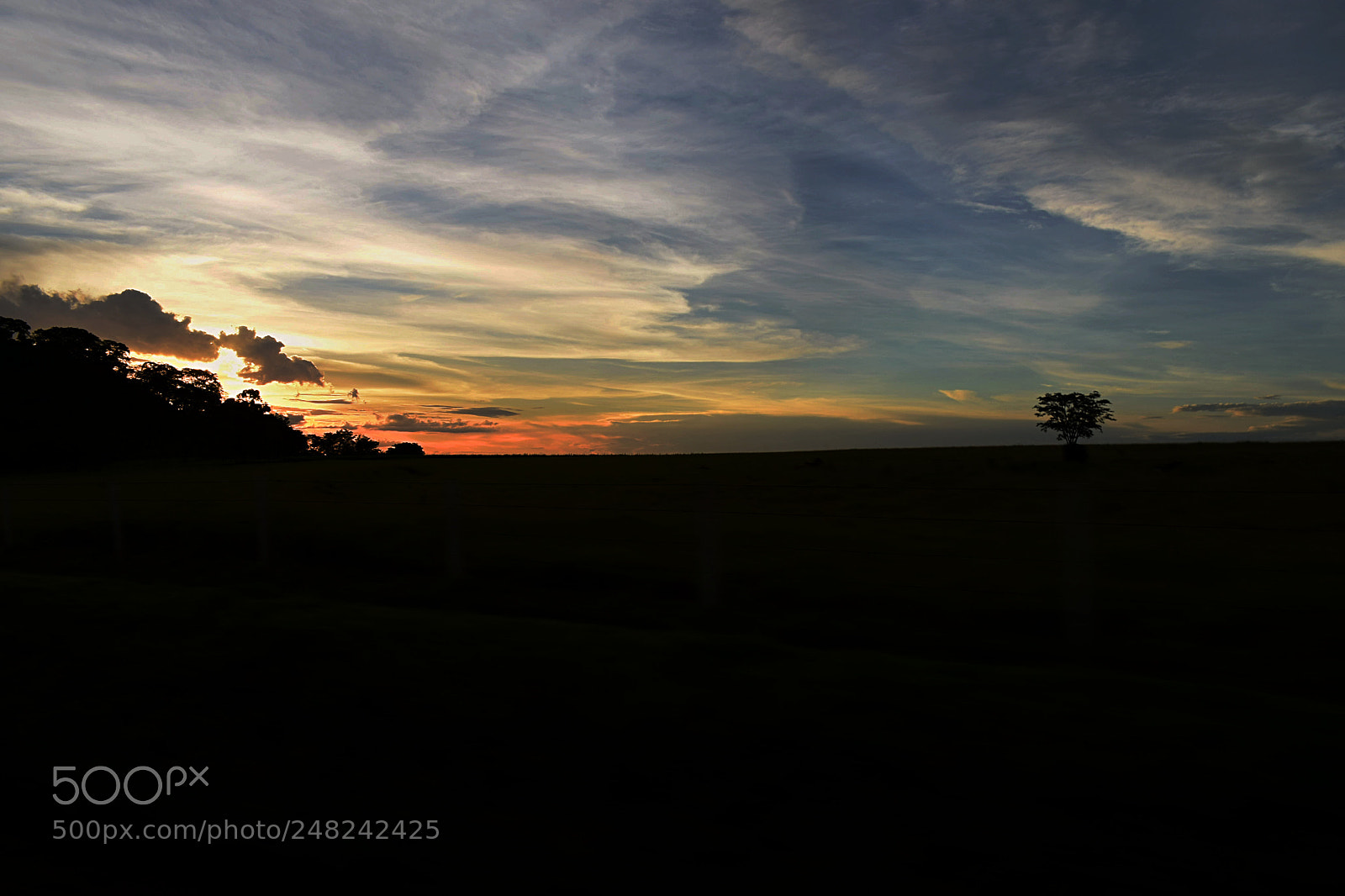 Nikon D5300 sample photo. No caminho photography