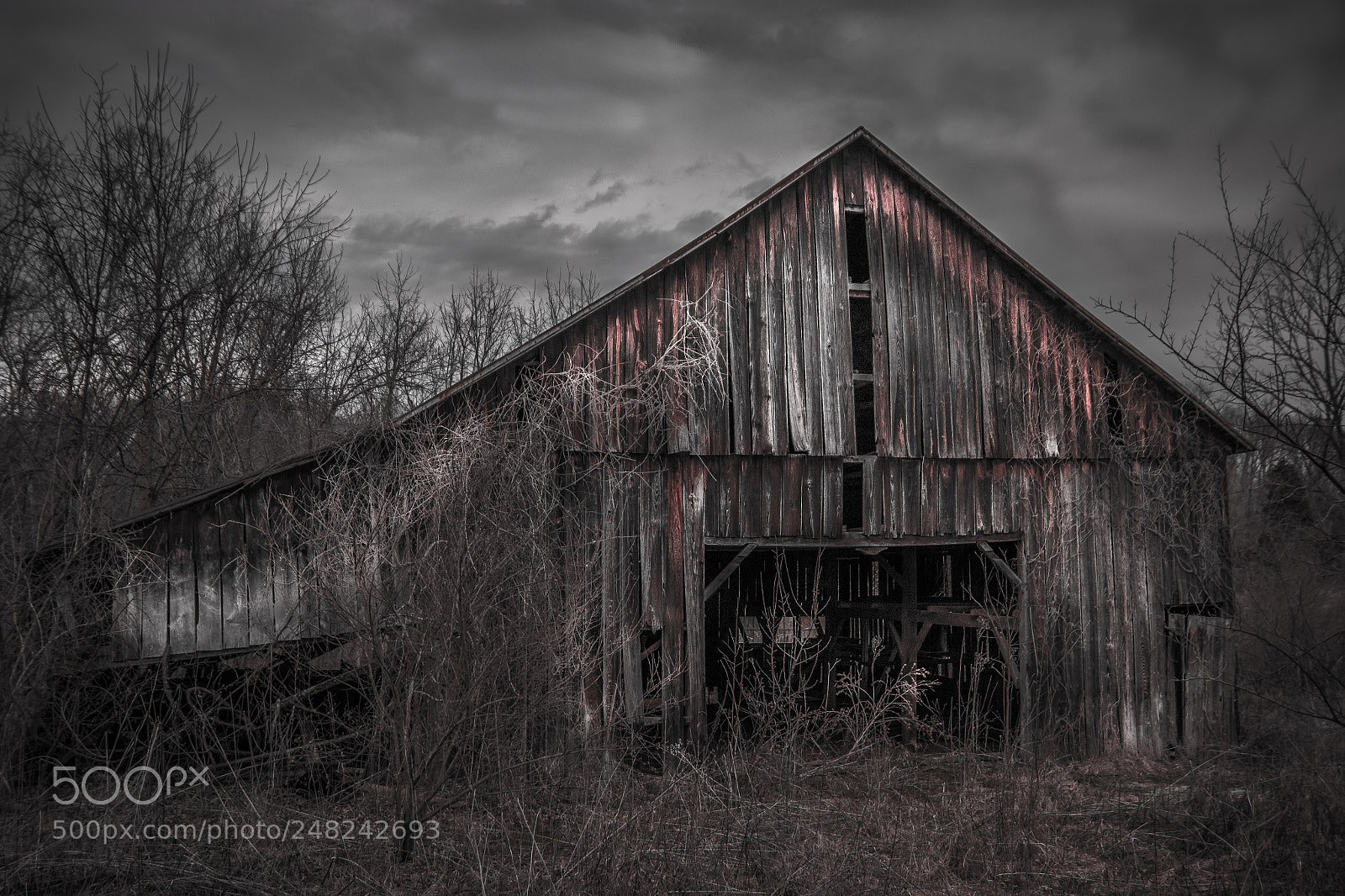 Canon EOS 600D (Rebel EOS T3i / EOS Kiss X5) sample photo. Abandoned barn photography