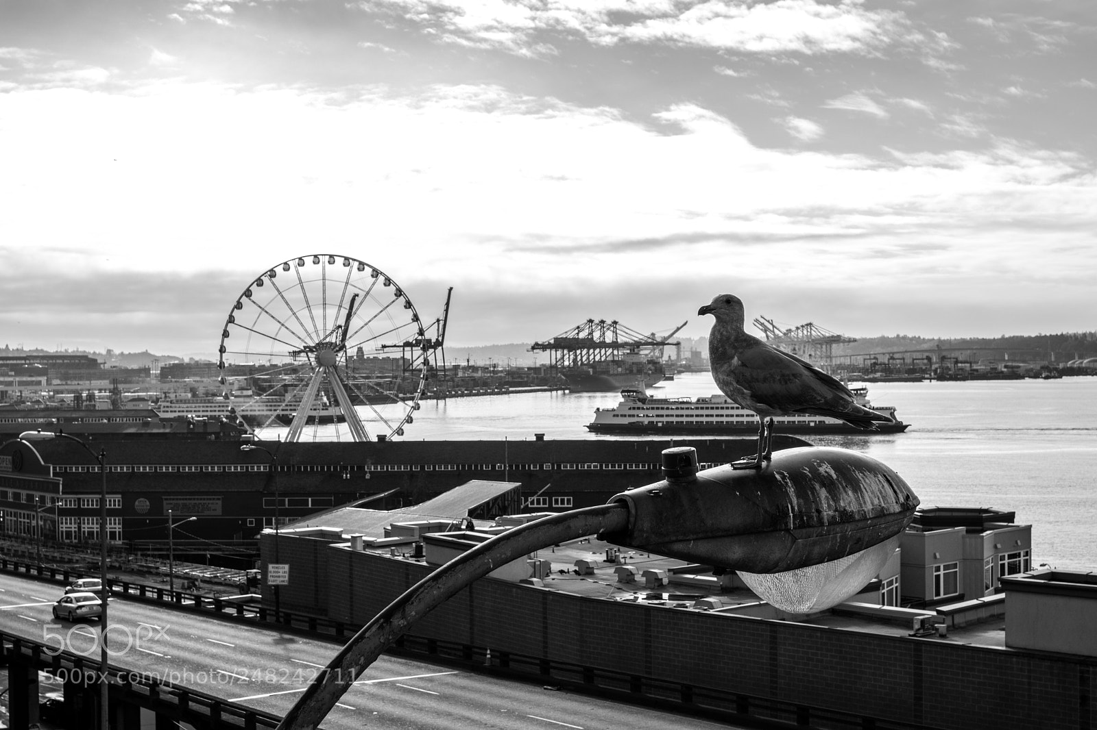 Canon EOS 80D sample photo. Seattle photography