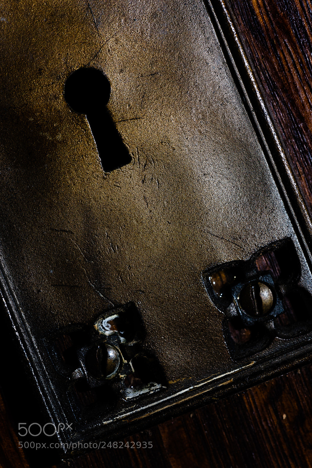 Nikon D810 sample photo. Locked out photography