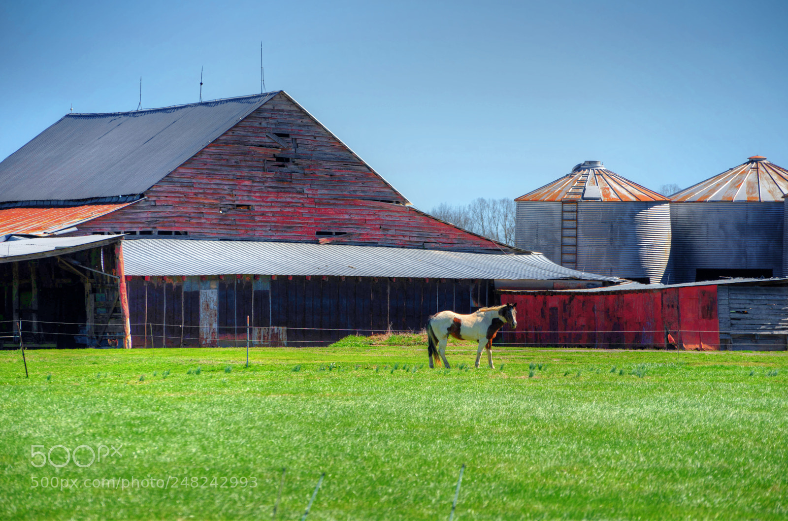 Sony a7 II sample photo. One horse farm photography