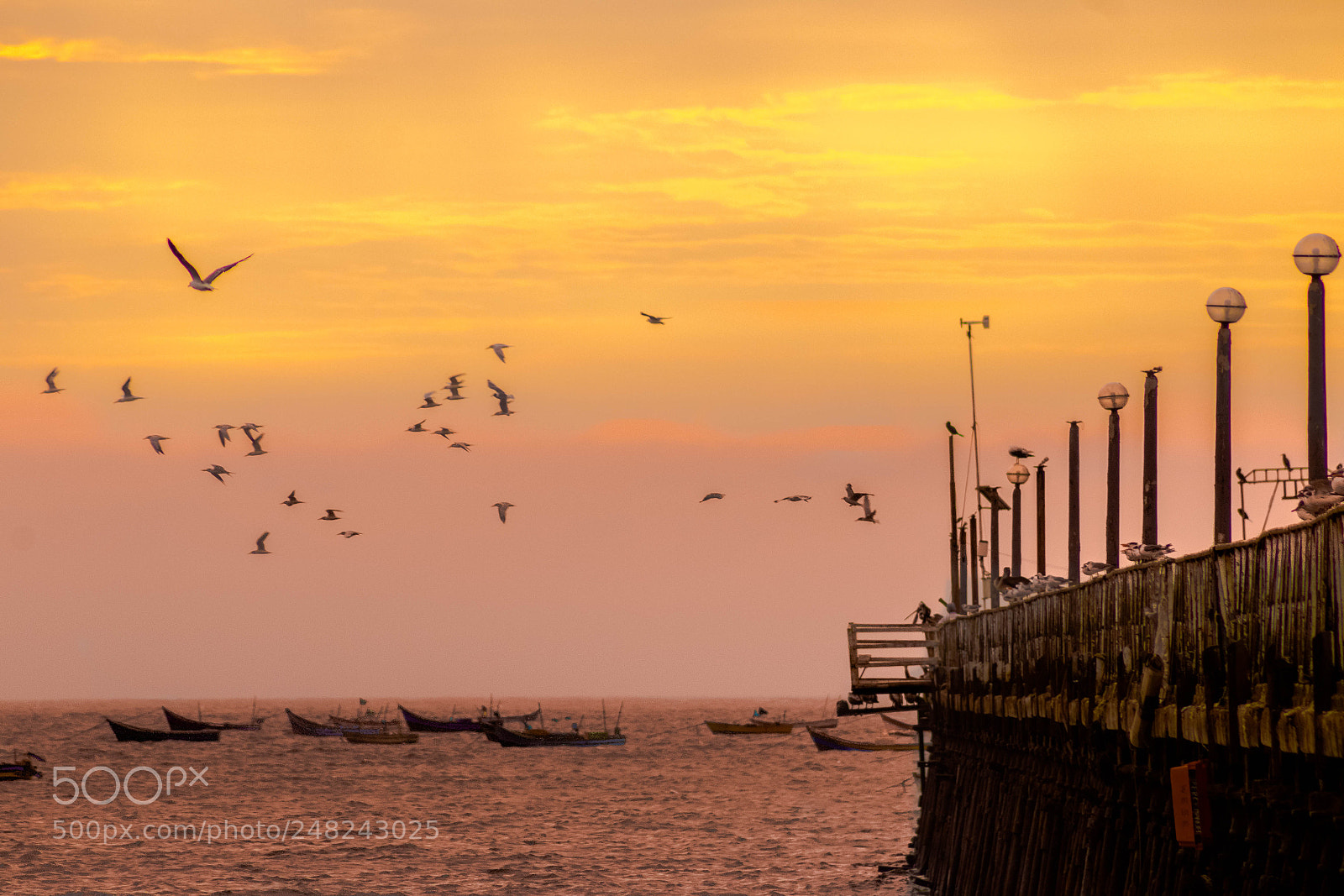 Canon EOS 1200D (EOS Rebel T5 / EOS Kiss X70 / EOS Hi) sample photo. Atardecer en el muelle photography