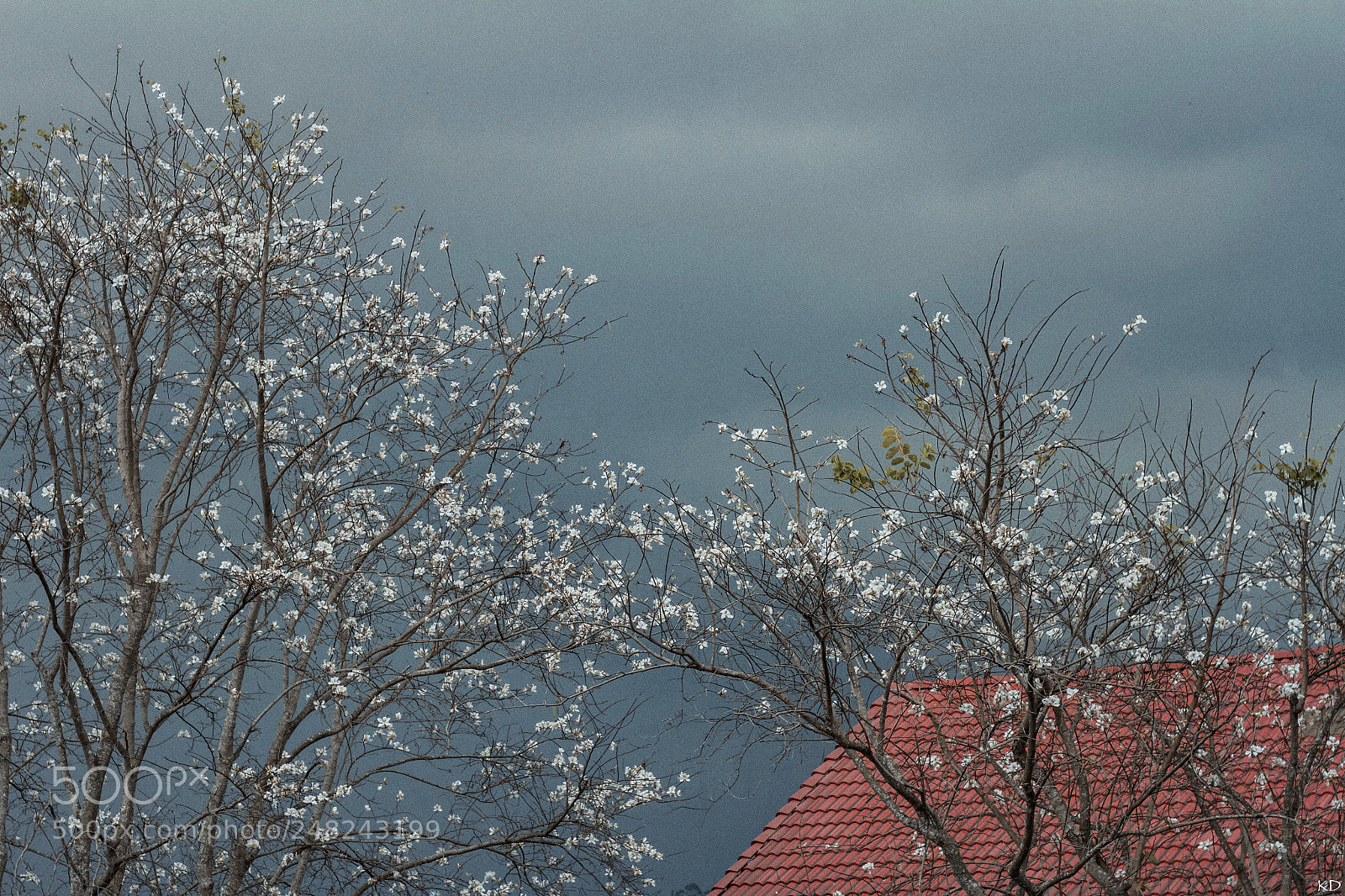 Canon EOS 7D sample photo. () photography