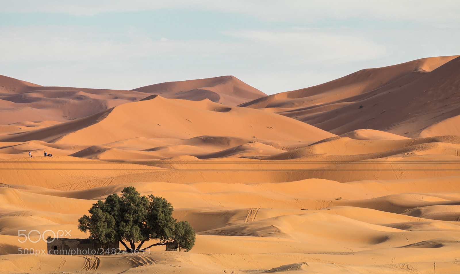Canon EOS 80D sample photo. Morocco continued photography