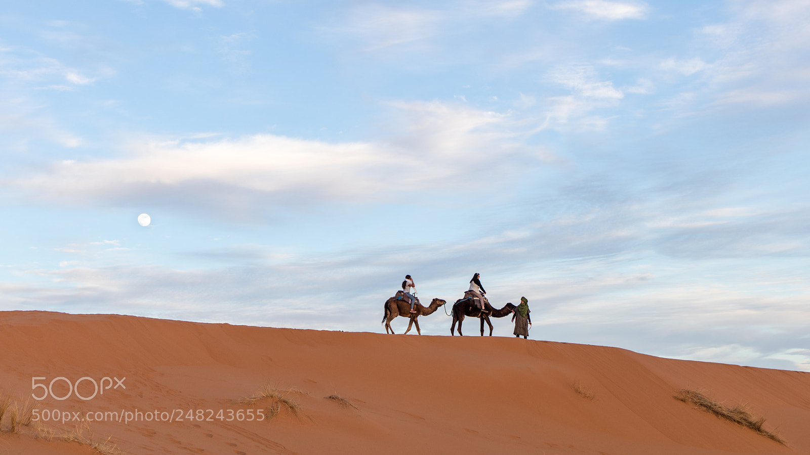 Canon EOS 80D sample photo. Morocco continued photography