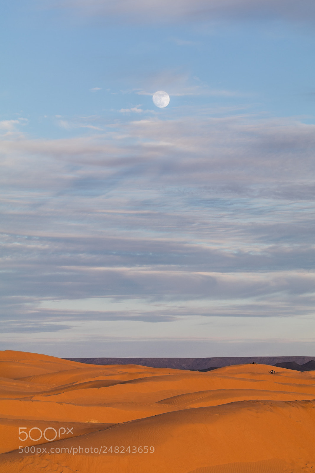 Canon EOS 80D sample photo. Morocco continued photography
