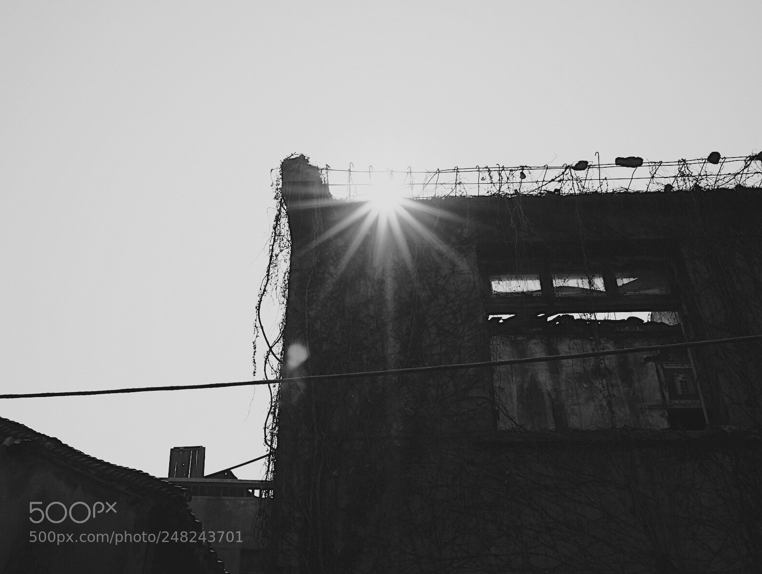 Fujifilm X-Pro2 sample photo. 16 photography