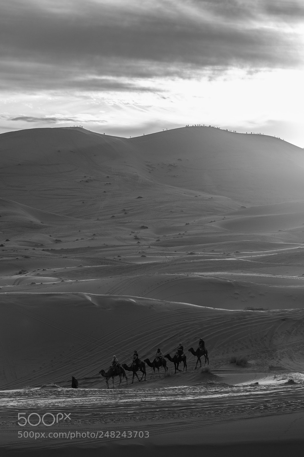 Canon EOS 80D sample photo. Morocco continued photography