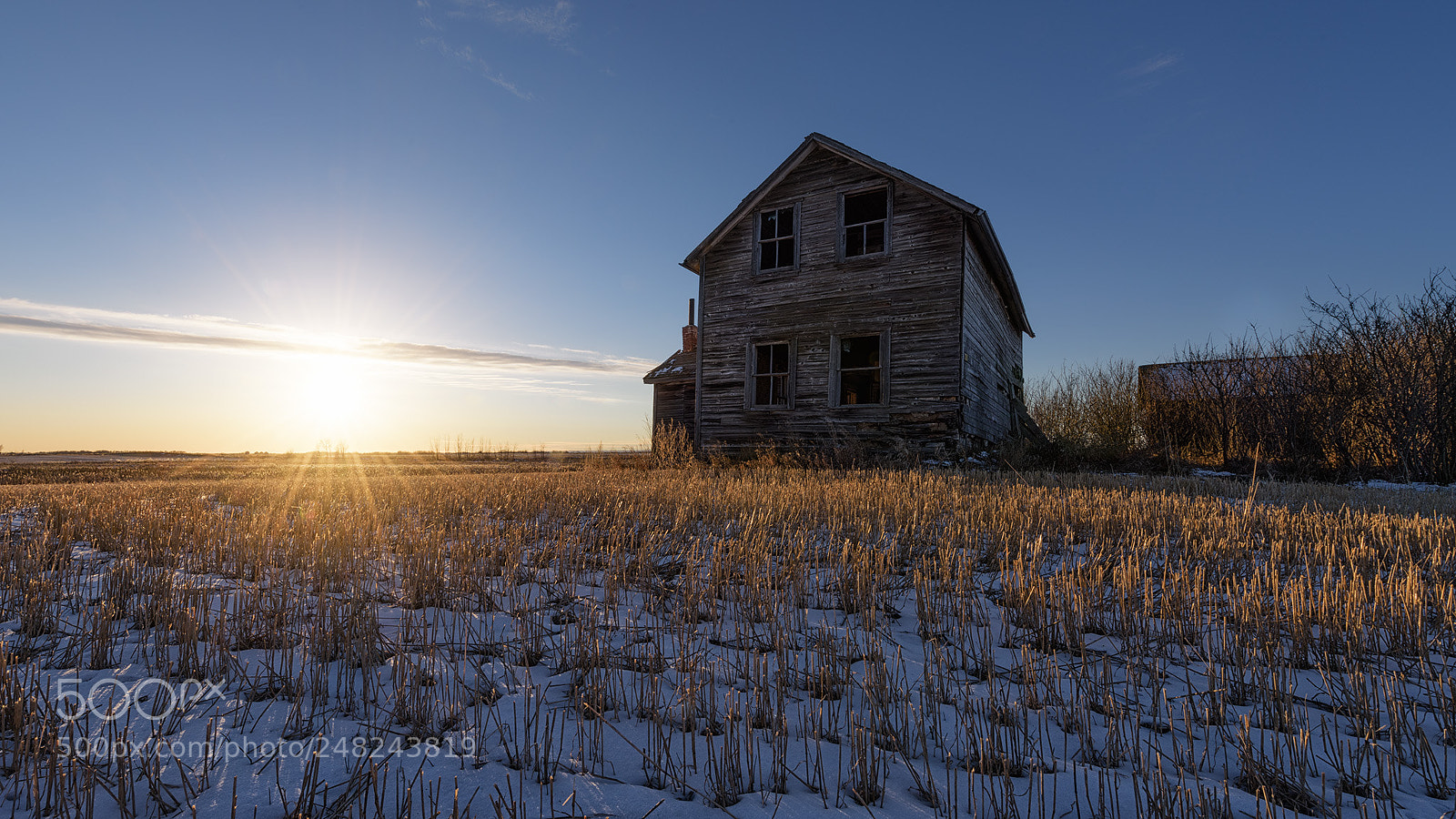 Nikon D810 sample photo. 4 photography