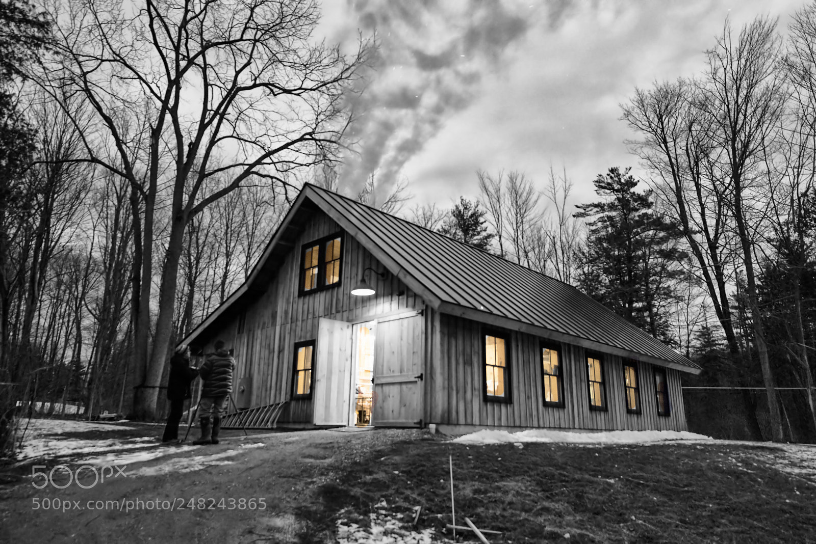Nikon D800 sample photo. Sugar house in woods photography