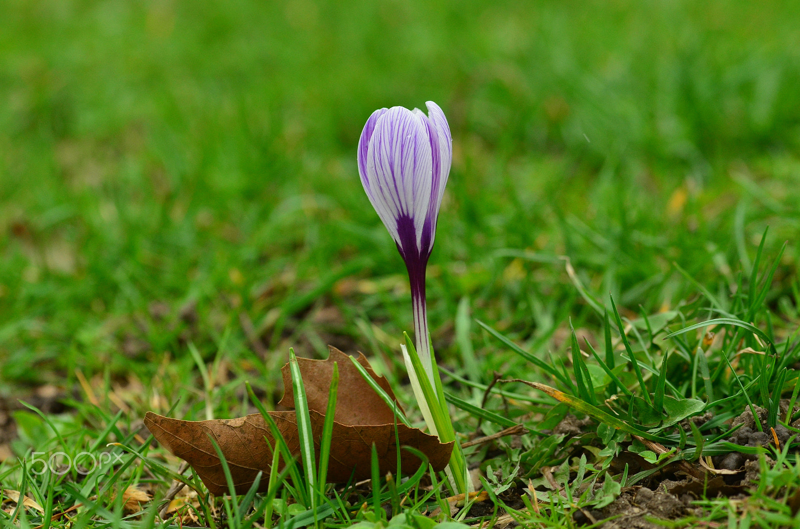 Sigma 105mm F2.8 EX DG OS HSM sample photo. Old and the new photography