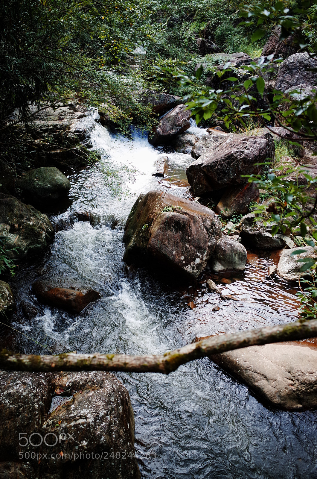 Ricoh GR sample photo. Untitled photography