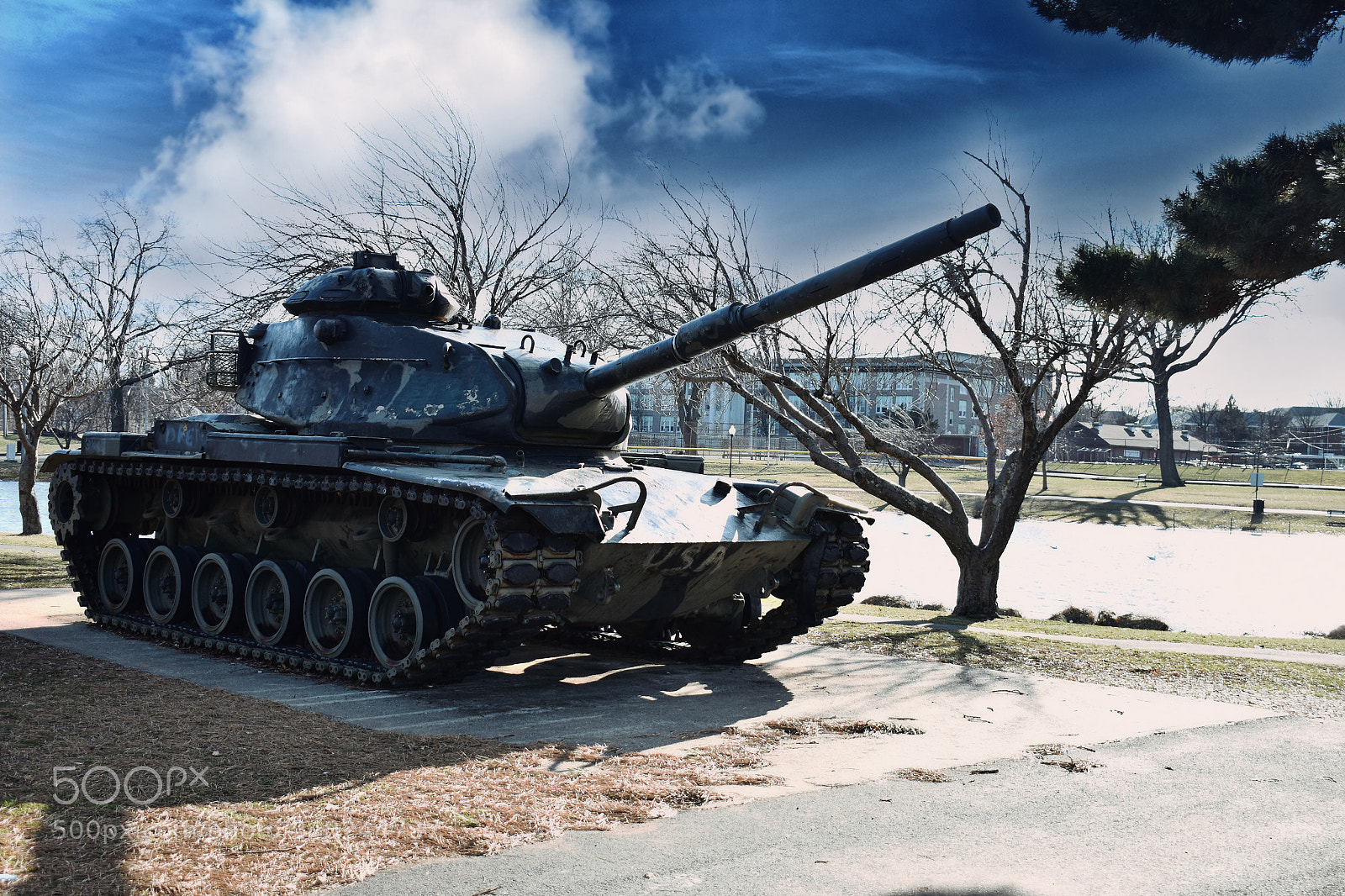 Nikon D3400 sample photo. Bring in the tank !! photography
