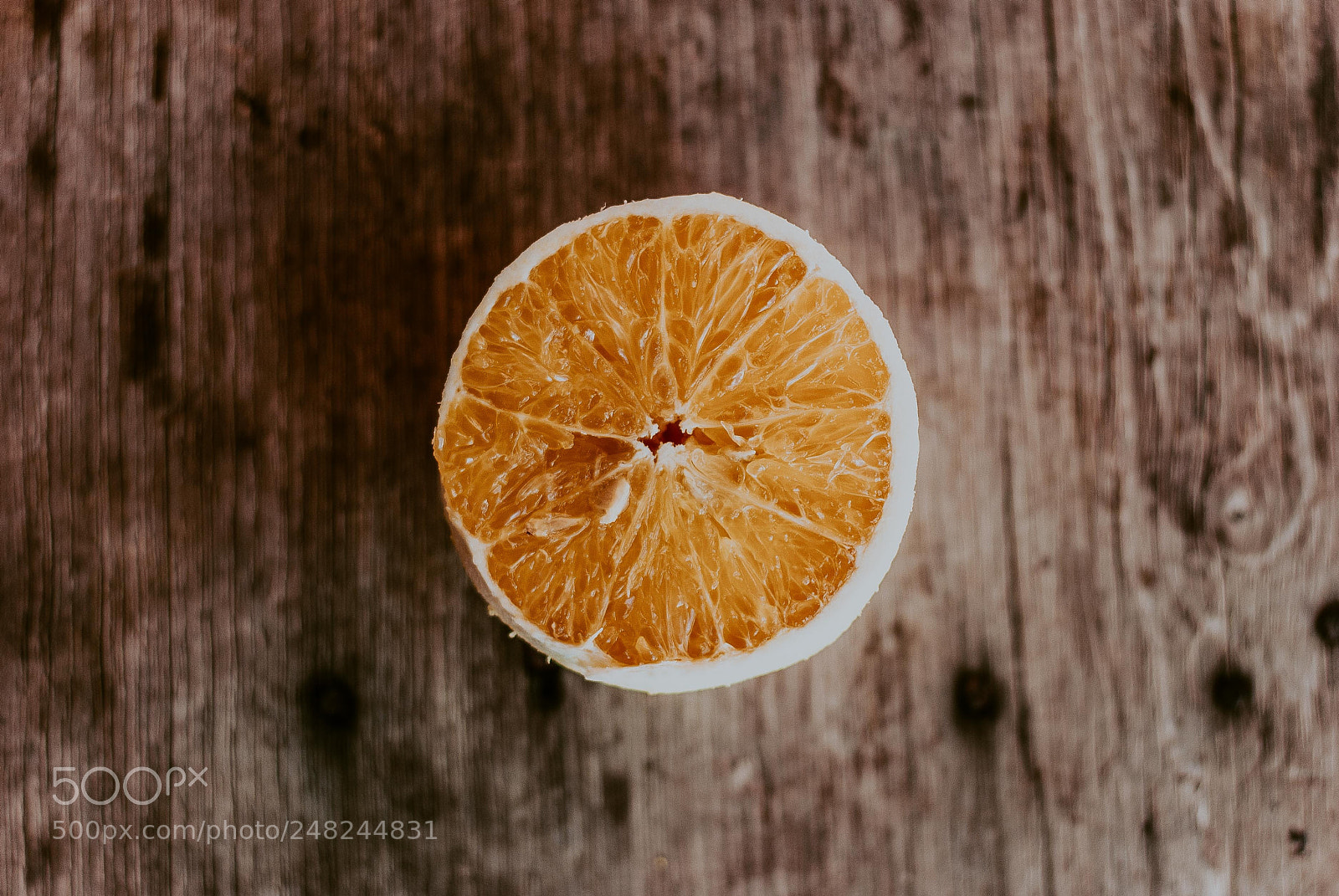 Nikon D60 sample photo. Orange photography
