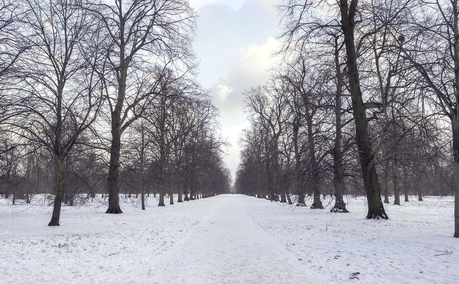 Olympus OM-D E-M5 II sample photo. Hyde park london photography