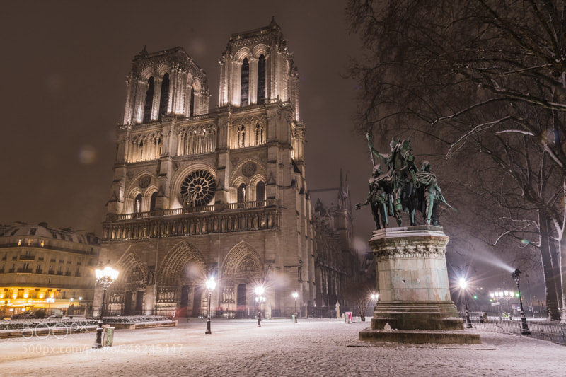 Nikon D500 sample photo. Notre dame cathedral on photography