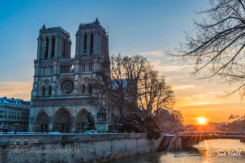 Nikon D500 sample photo. Notre dame at sunrise photography