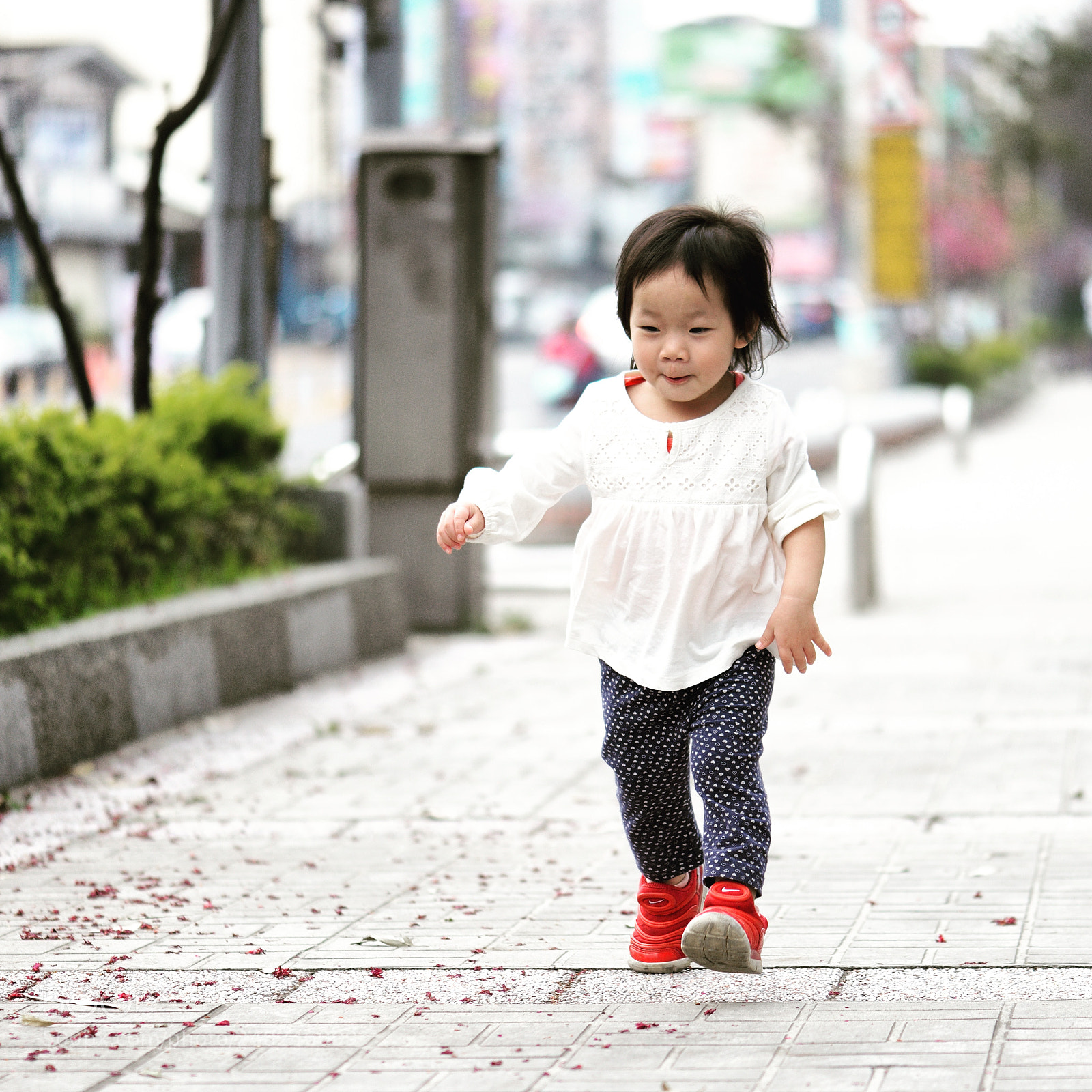 Nikon D800 sample photo. Untitled photography