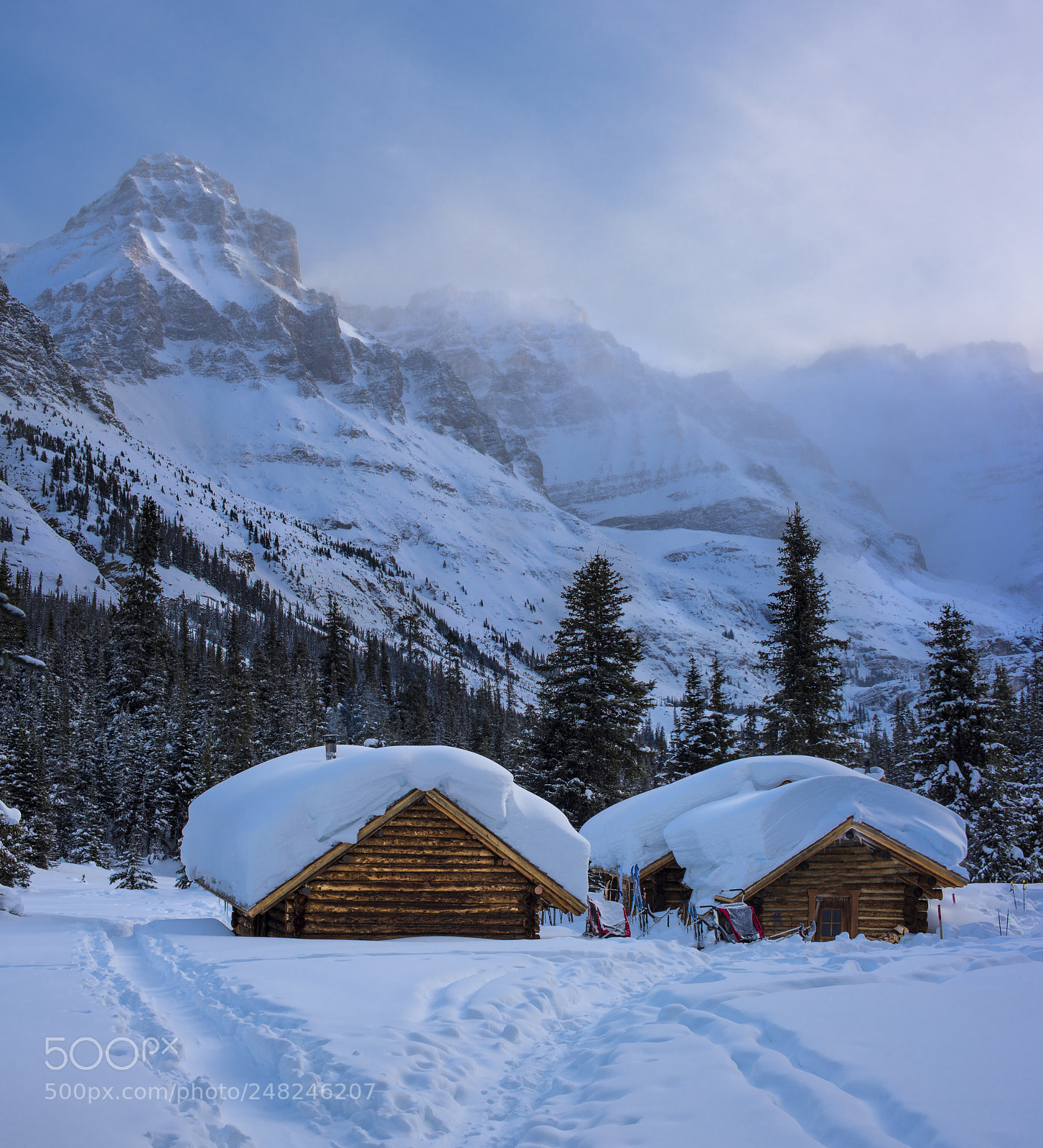 Nikon D810 sample photo. Winter photography